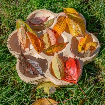 Natural Flower Tray - wooden tray for sorting loose parts