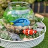 Fish – Sensory Play Stones  - Image 4