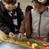 Fish – Sensory Play Stones  - Image 10